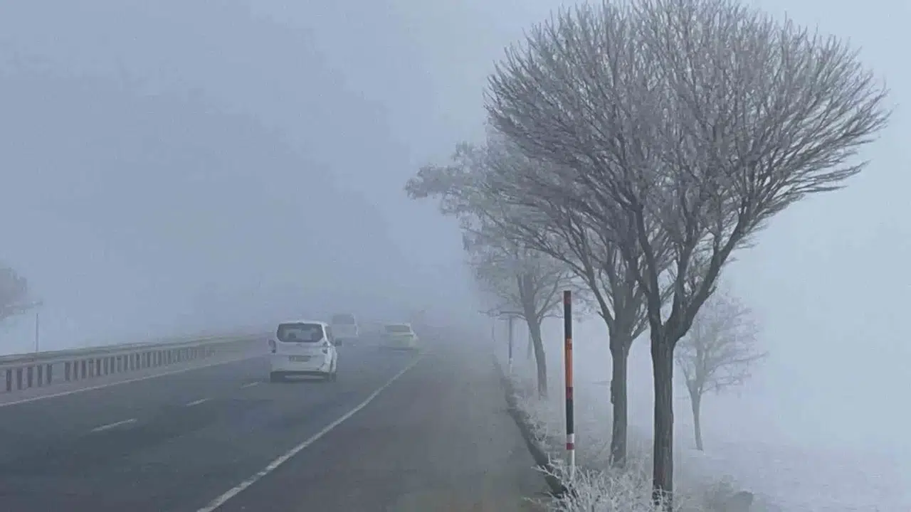 Bitlis’te Ağaçlar Kırağı Tuttu