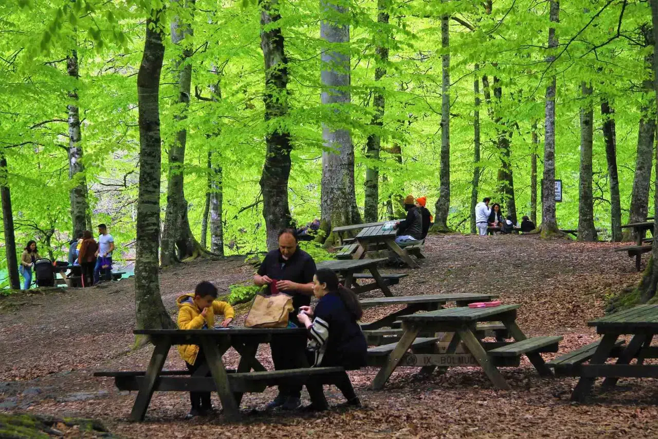 Bolu’nun Tabiat Mükemmelinde İnsan Faaliyetleri Doğal Dengeyi Bozuyor