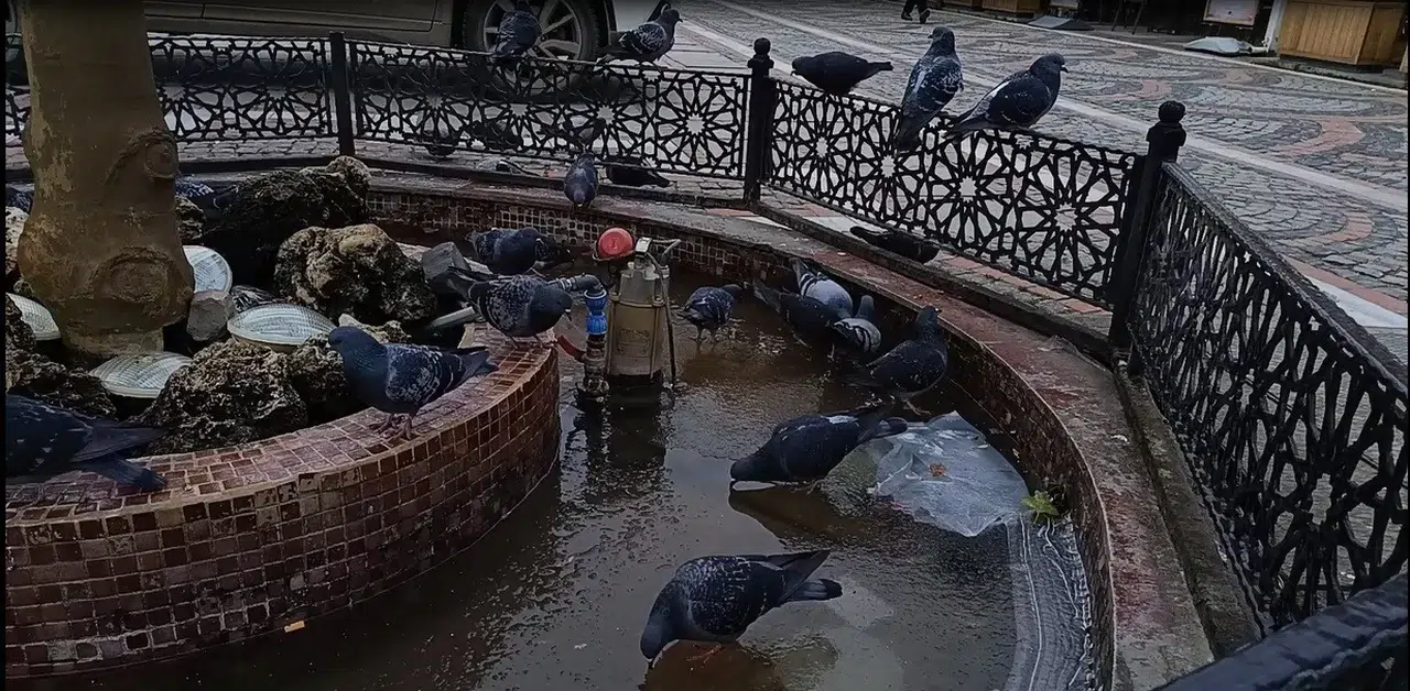 Edirne’de Dondurucu Soğuk Tesirli Oldu: Süs Havuzları Buz Tuttu