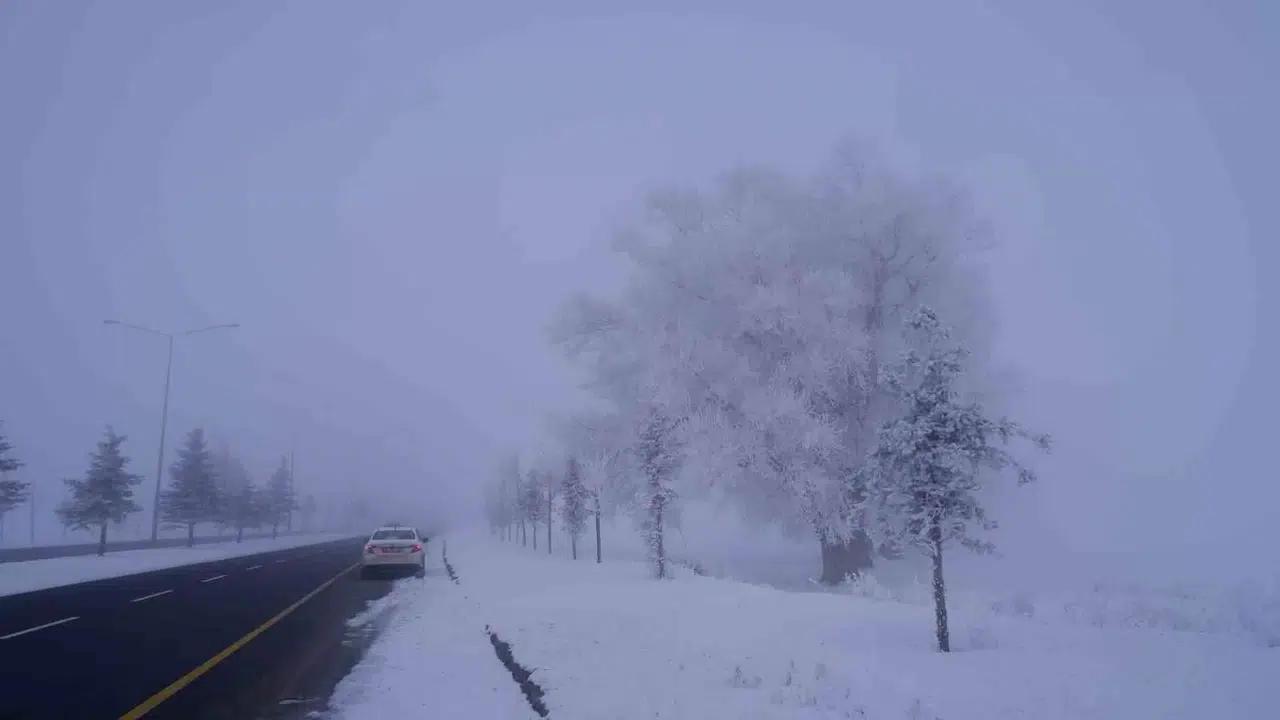 Erzurum Buz Kesti