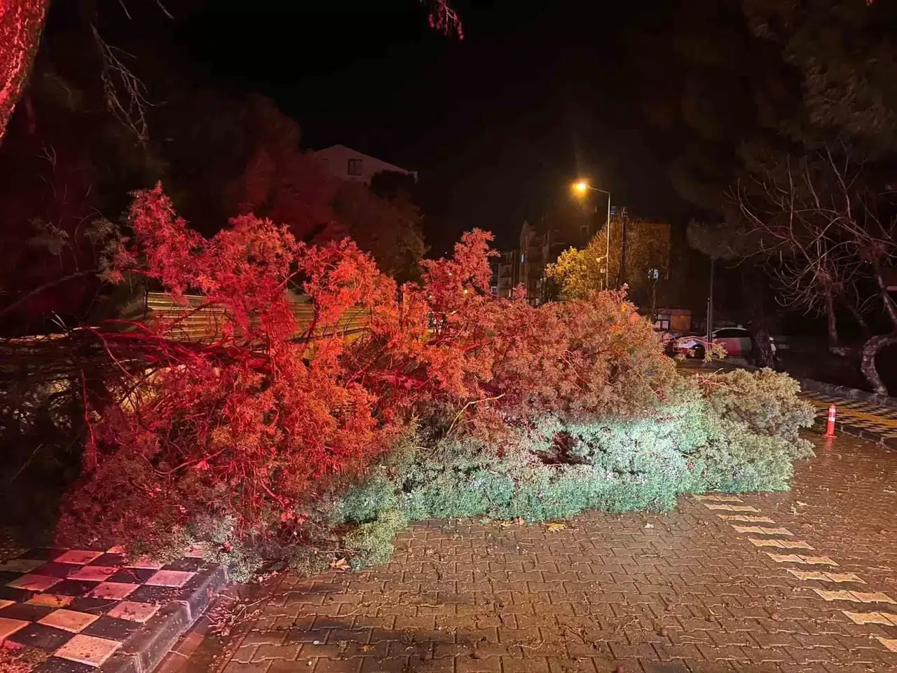 Ezine’de Fırtına Nedeniyle Ağaç Devrildi, Kapanan Yol Belediye Takımlarınca Açıldı