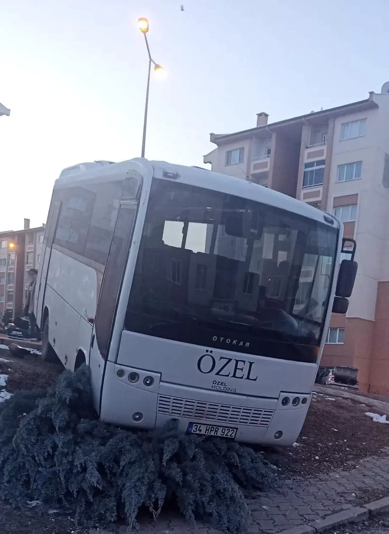 Freni Patlayan Midibüs Kaldırıma Çarpıp Ağacı Devirerek Durabildi