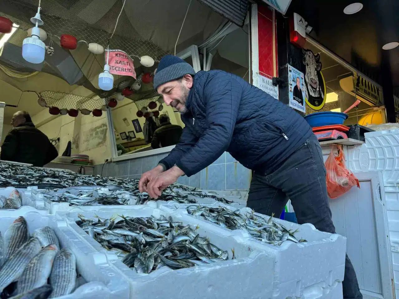 Hamsi Tezgahtaki Krallığını İstavrite Kaptırdı