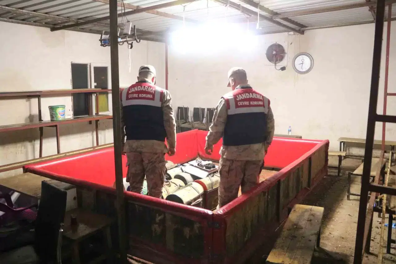 Horoz Dövüşüne Jandarma Baskını