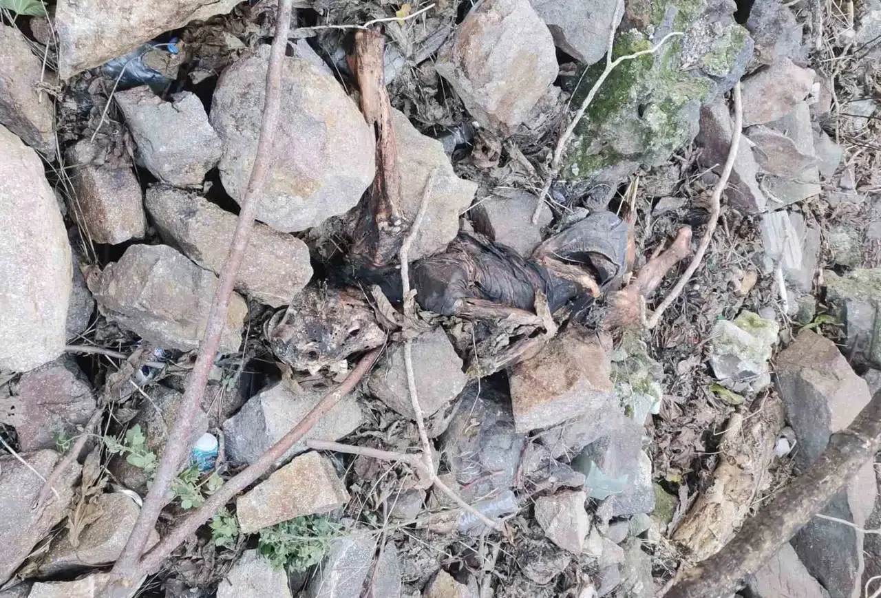 İzmir Tarihi Asansör Yakınında İnsan Kemikleri Bulundu