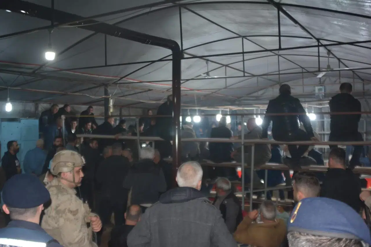 İzmir’de Horoz Dövüşü Yaptıranlara Jandarmadan Operasyon