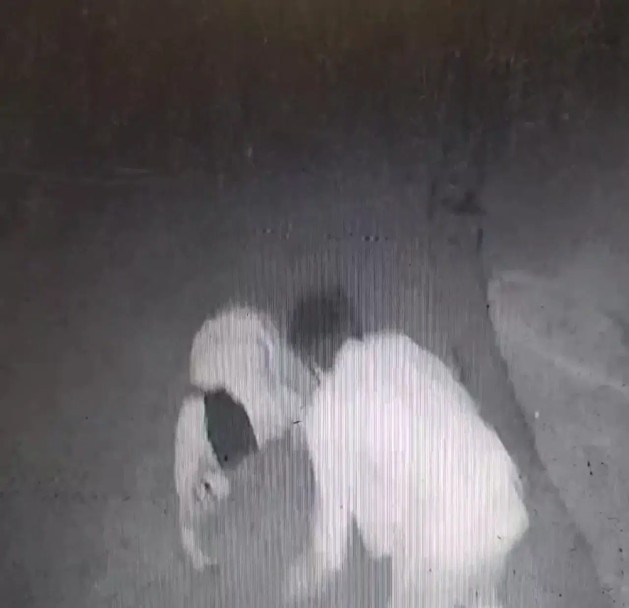 İzmir’deki ‘Laf Atma’ Cinayetinin İmajı Ortaya Çıktı