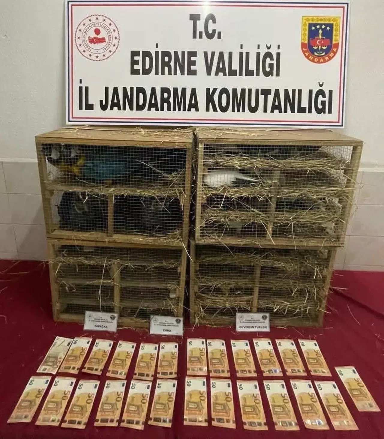 Jandarmanın Durdurduğu Araçta 124 Kaçak Kuş Ele Geçirildi