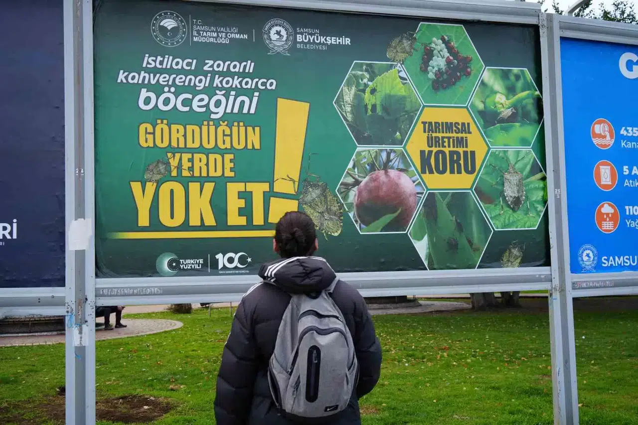 Kahverengi Kokarcayla Gayret Billboardlarda: “Gördüğün Yerde Yok Et”