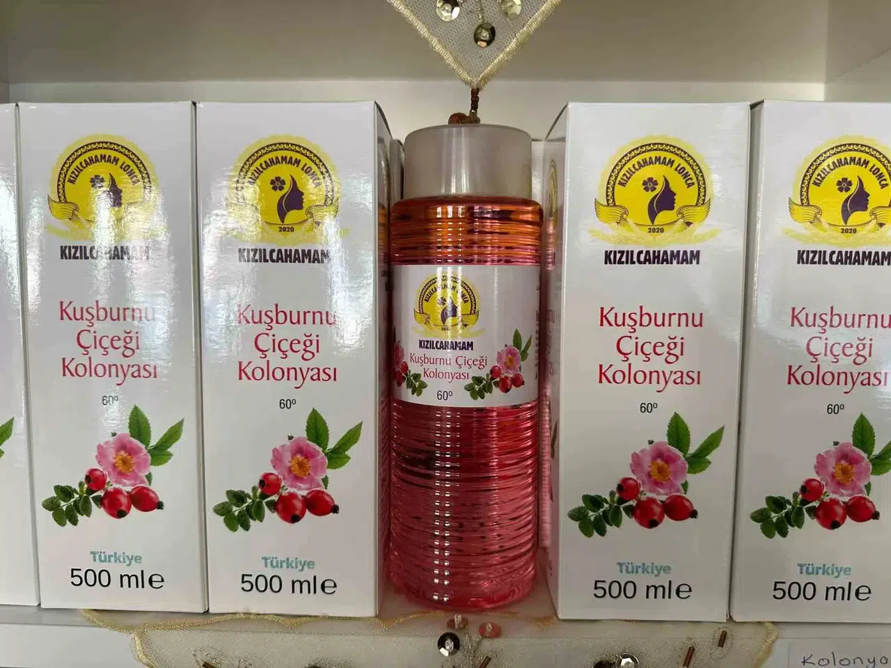 Kızılcahamam’da Çamdan Sonra Kuşburnunun da Kolonyası Yapıldı