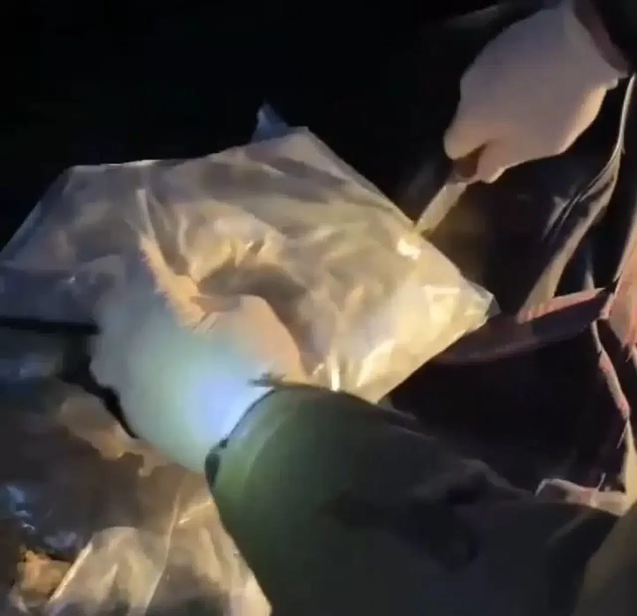 Malatya’da 31 Kilo 950 Gram Skunk Hususu Ele Geçirildi