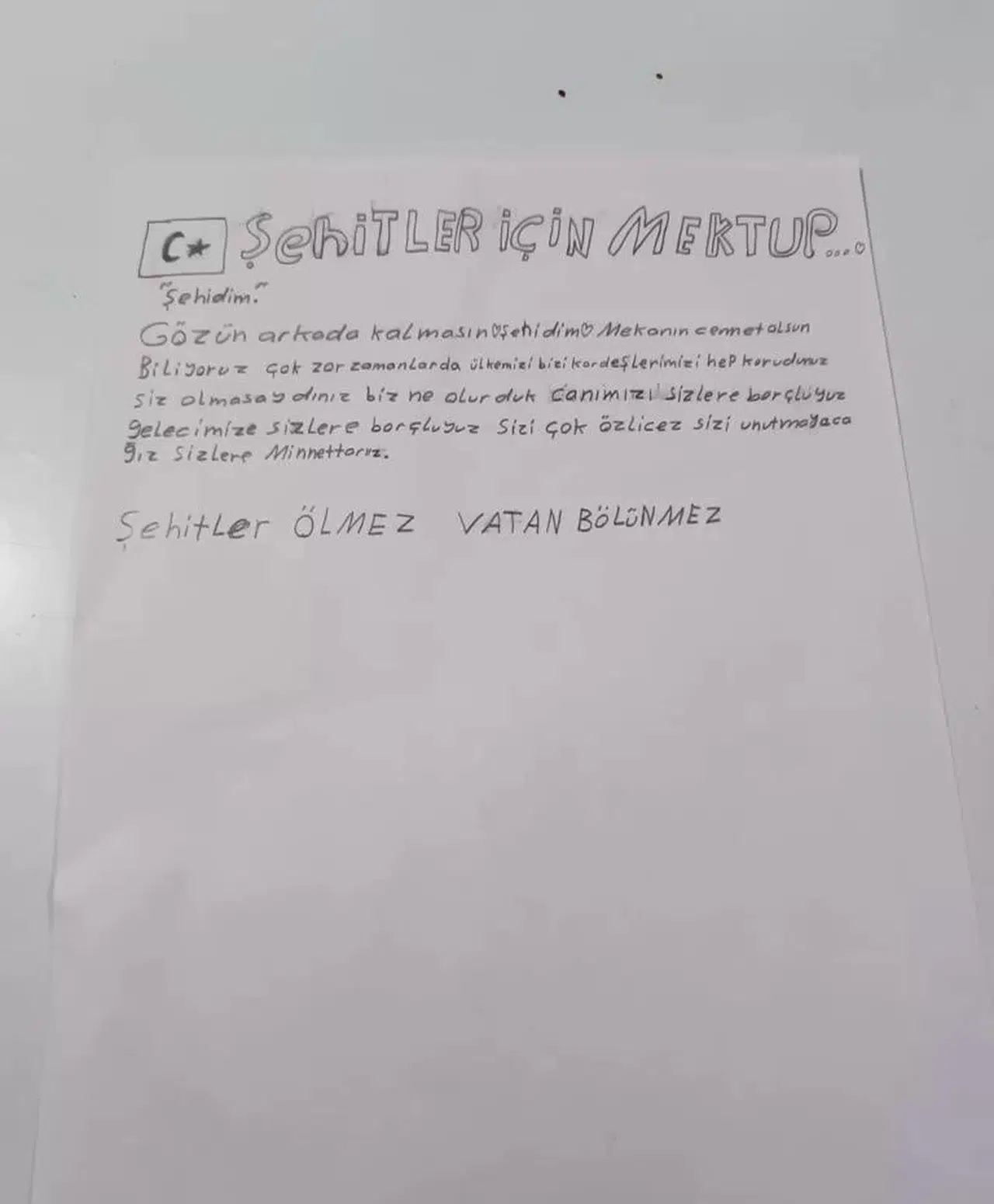 Muhafaza Altındaki Çocuklardan Vatan Müdafaasındaki Mehmetçiğe Mektup