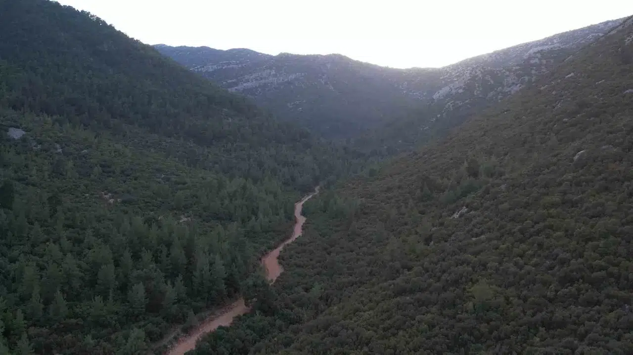 Oyak Çimento, Antalya’daki Üretim Alanını Tekrar Tabiata Kazandırıyor