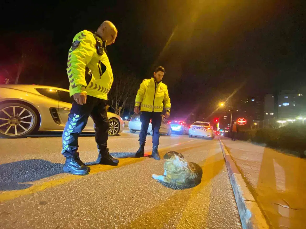 Polisin İçleri Isıtan Sokak Köpeği Nöbeti