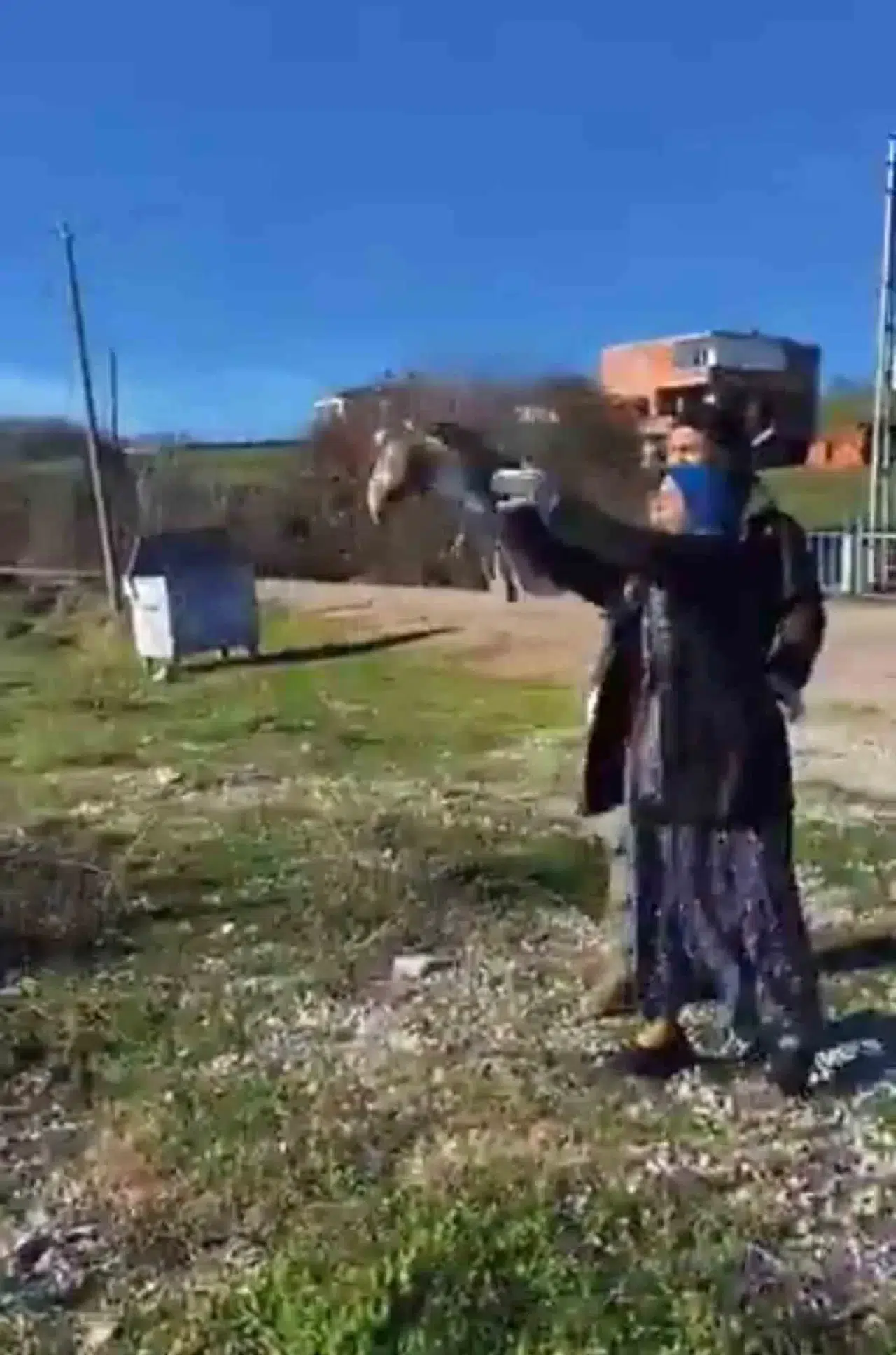Tedavisi Tamamlanan Şahin Tekrar Tabiata Salındı
