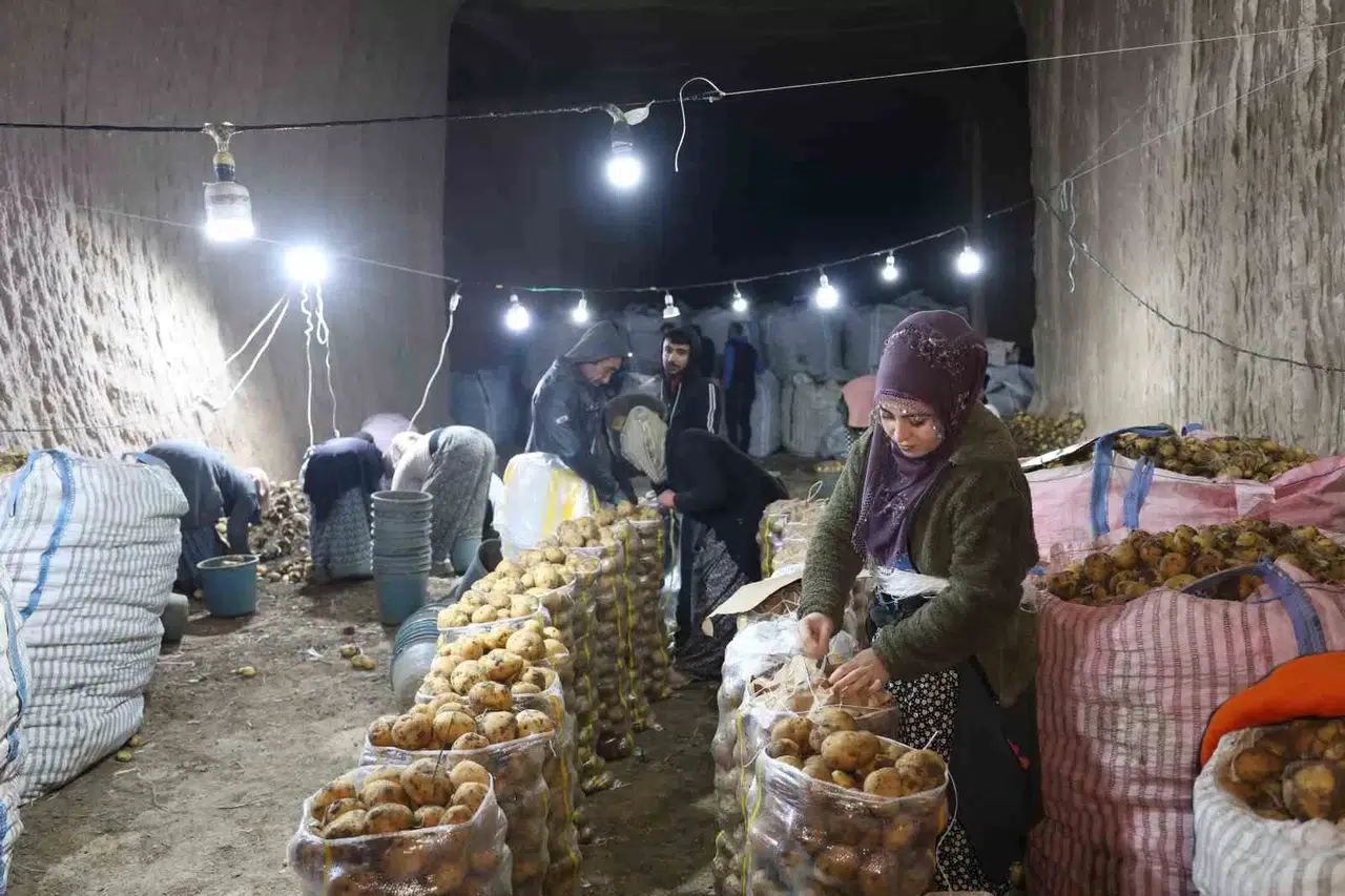Türkiye’nin Patates Muhtaçlığı Kapadokya’daki Depolardan Karşılanıyor