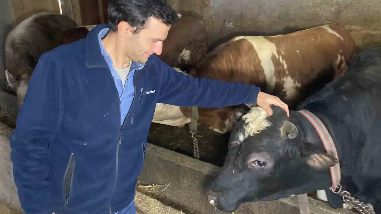 Üniversite Mezunu Genç Köye Yerleşip Besici Oldu