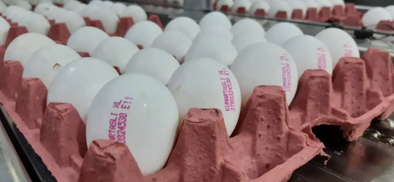 Üreticiler Yumurta Fiyatlarının Yükselmesinden Aracıları Sorumlu Tuttu
