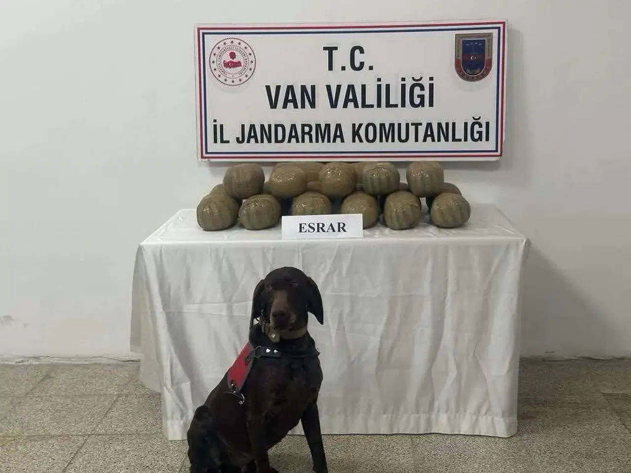 Van’da 50 Kişi Yakalandı