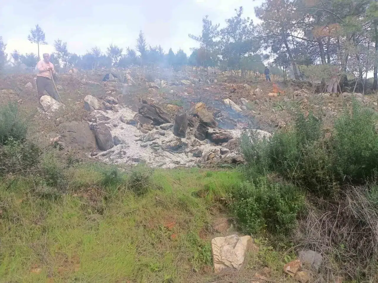 Ağaçları Kesip Yaktılar: 20 Gözaltı