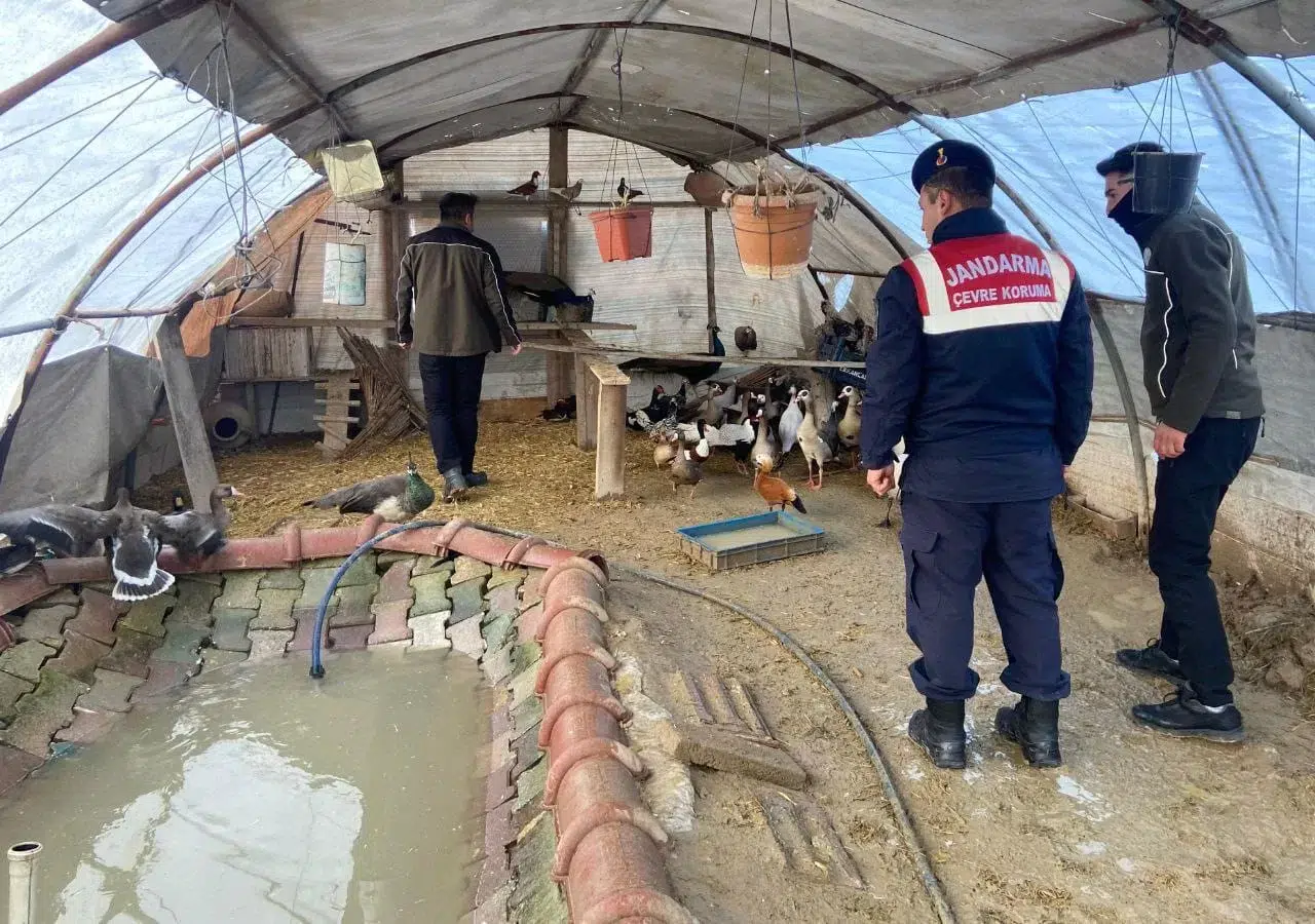Aksaray’da Yaban Hayvanı Ticaretine 78 Bin 650 TL Ceza