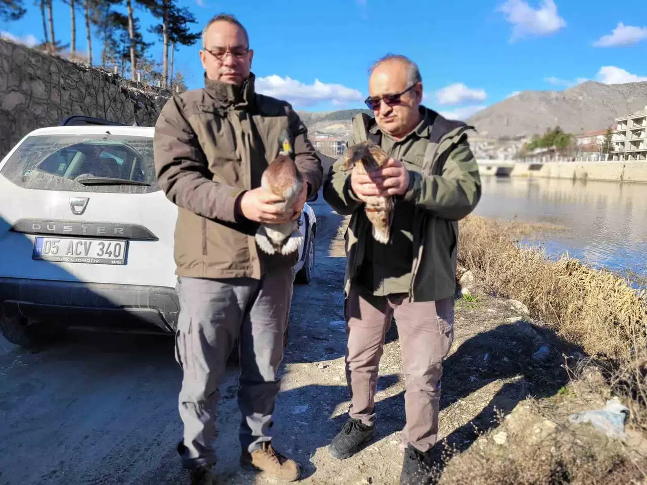 Amasya’da Meskeninde 9 Yaban Hayvanı Bulunan Şahsa 55 Bin TL Ceza
