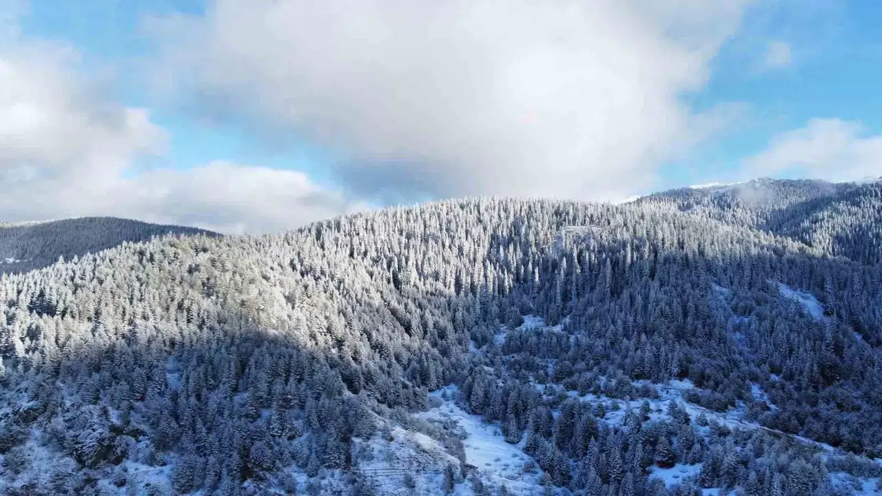Beyaza Bürünen Ilgaz Dağı’nın Eteklerindeki Yaylalarda Kartpostallık Manzaralar Ortaya Çıktı