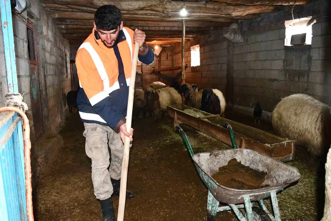 Beytüşşebap’ta Besicilerin Kuvvetli Kış Mesaisi Sürüyor