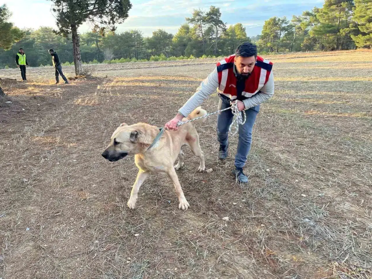 Burdur’da Köpek Dövüşü Yaptıranlara Yönelik Operasyon Manzaraları Ortaya Çıktı