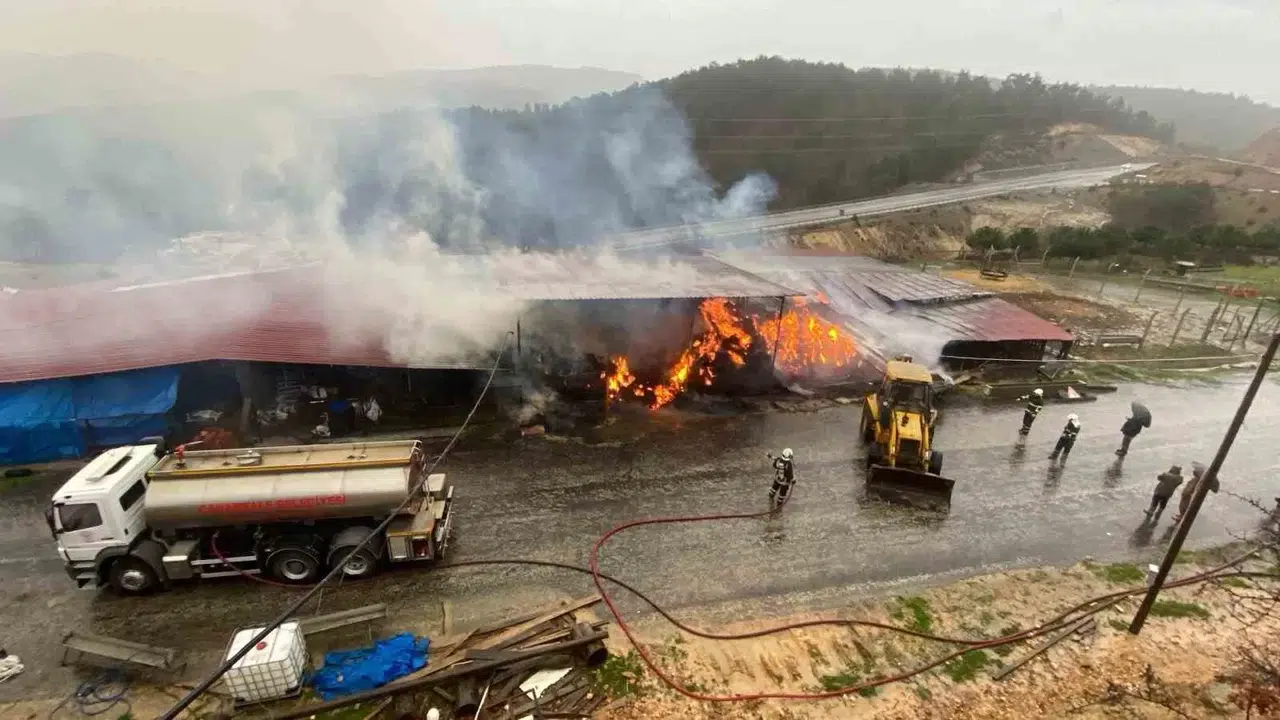 Çanakkale’de Dama Yıldırım Düşmesi Sonucu 2 Bin Balya Saman Yandı, 29 Büyükbaş Hayvan Yanmaktan Kurtarıldı