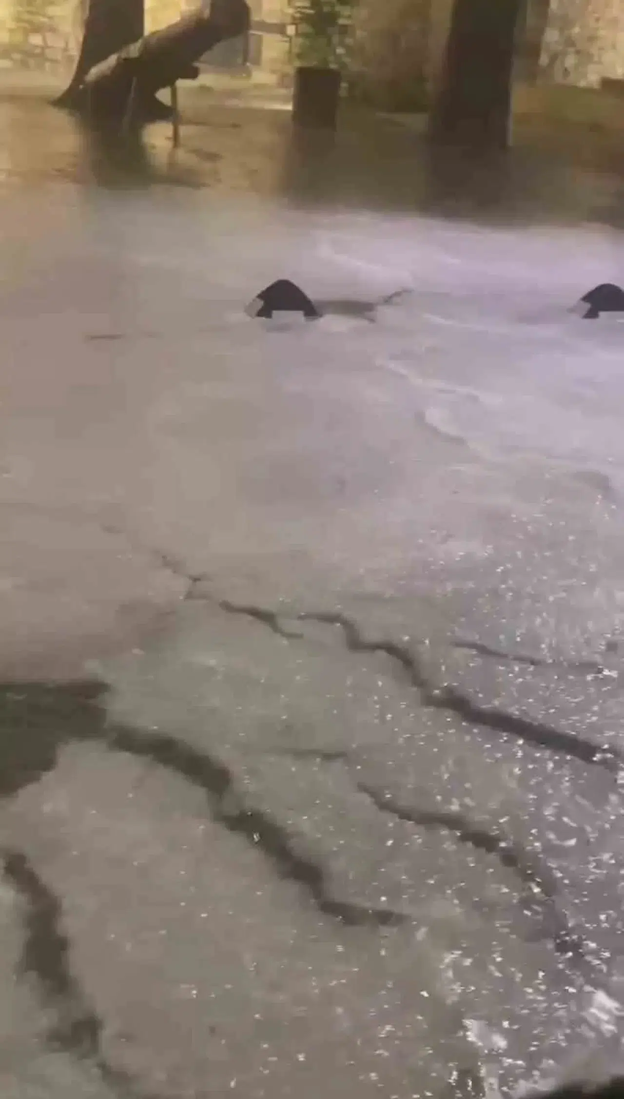 Çeşme’de Sağanağın Akabinde Dolu Yağışı Tesirli Oldu