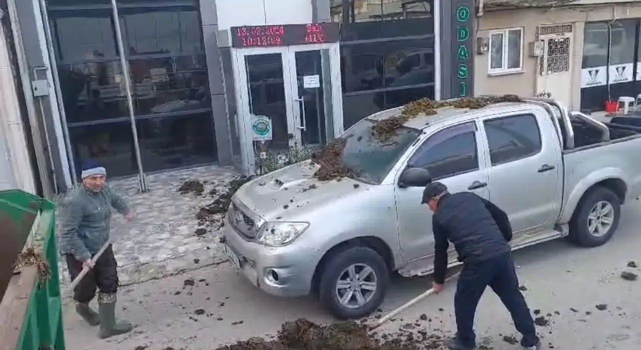 CHP’nin Belediye Lider Adayına Dışkı Şoku