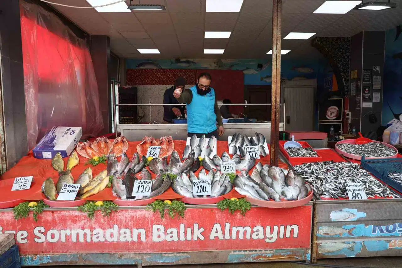 Elazığ’da En Çok Tercih Edilen Balık Çeşitleri Hamsi, İstavrit ve Alabalık Oldu