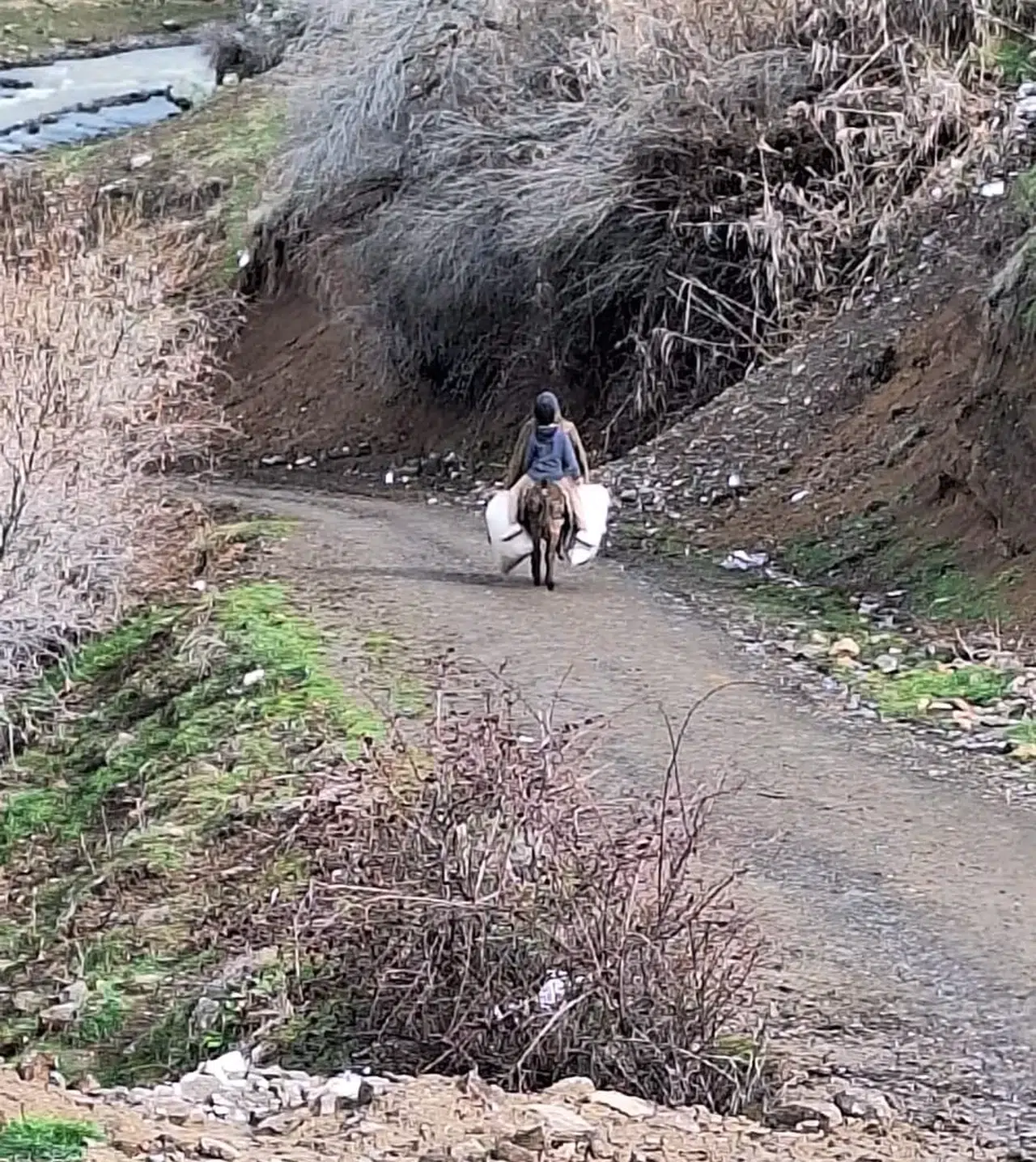 Elazığ’da Selde Çöken Yolu Kullanamayan Köylüler Hayvanlarına Eşekler ile Yem Taşıyor