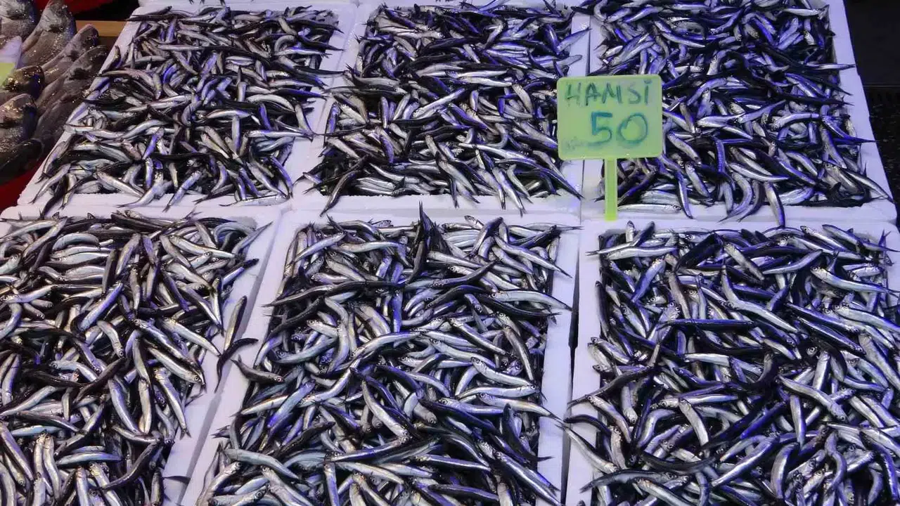 Hamsi Rahmeti İhracat Sayılarına da Yansıdı