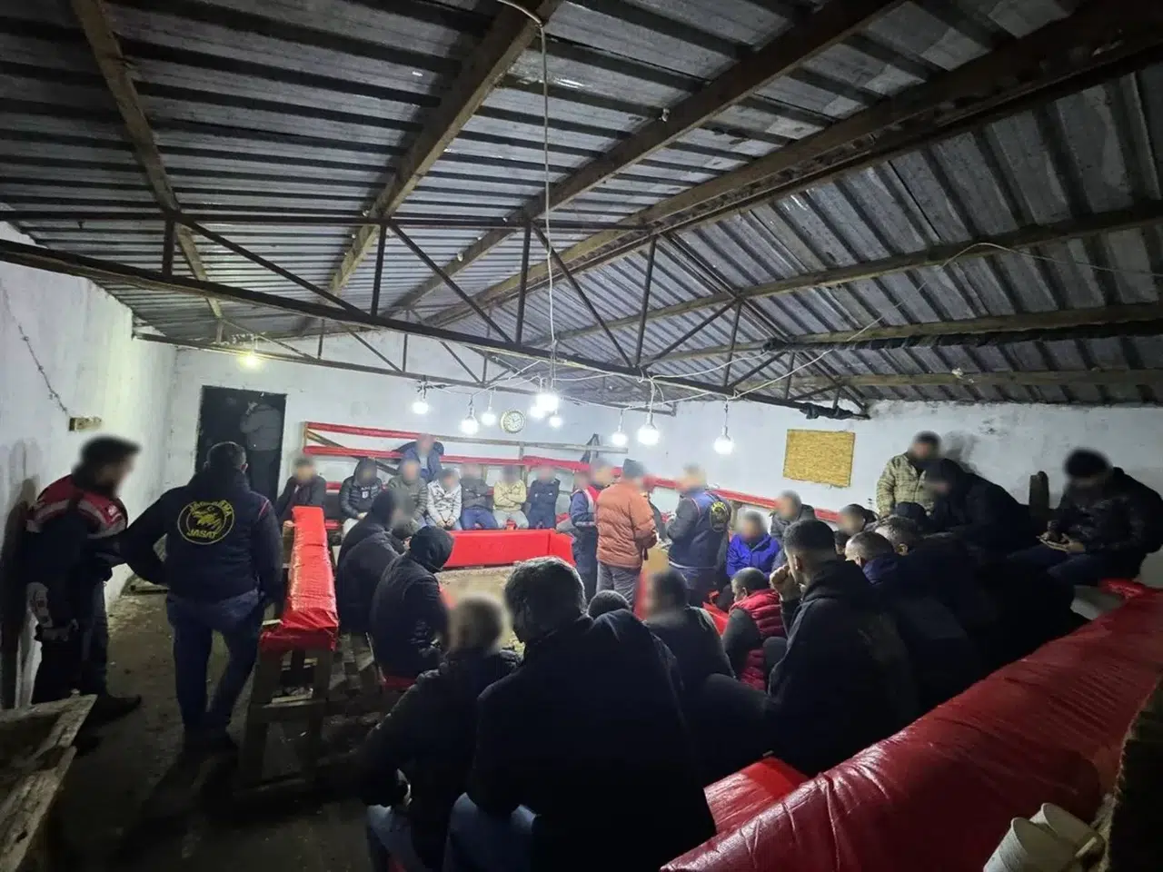 Horoz Dövüşüne Jandarma Baskını