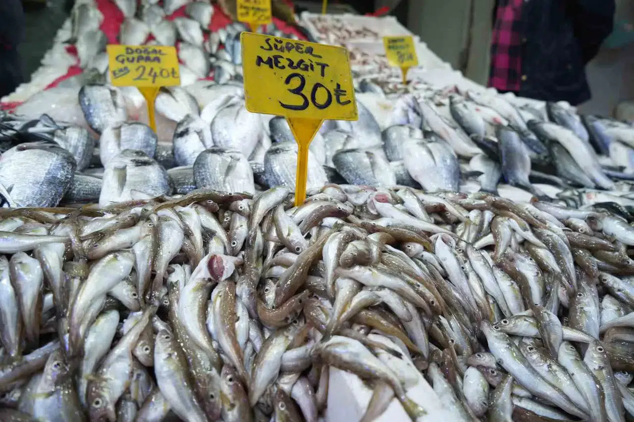 Kilosu 30 TL’ye Satılan Balıklara İlgi Yok Denecek Kadar Az