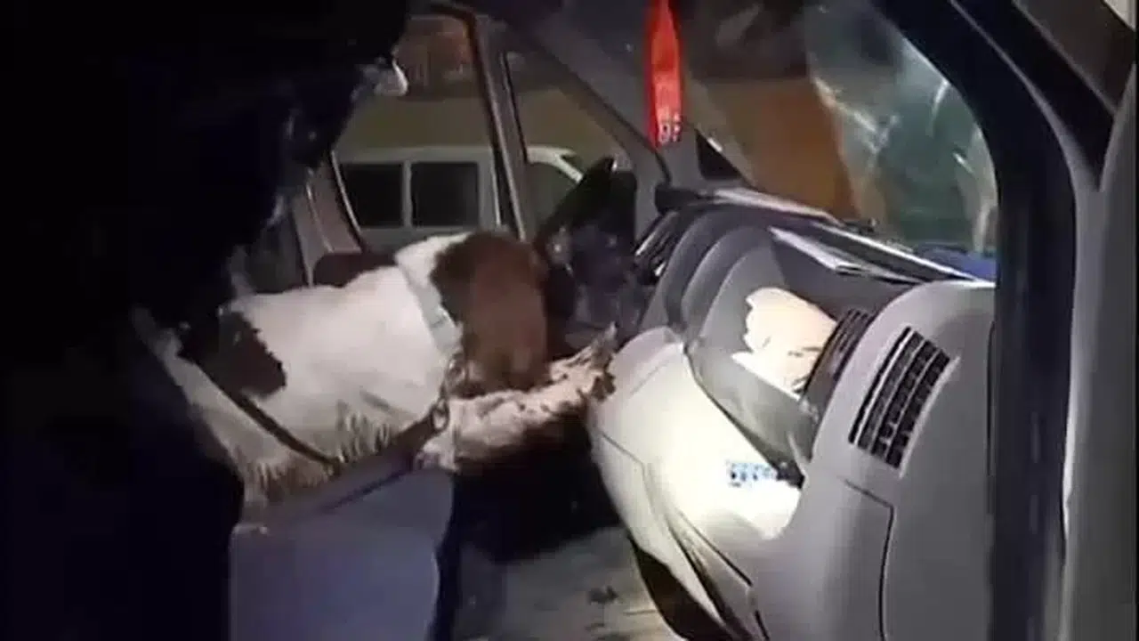 Konut ve Otomobillerinde Uyuşturucu Çıkan 6 Zehir Taciri Tutuklandı