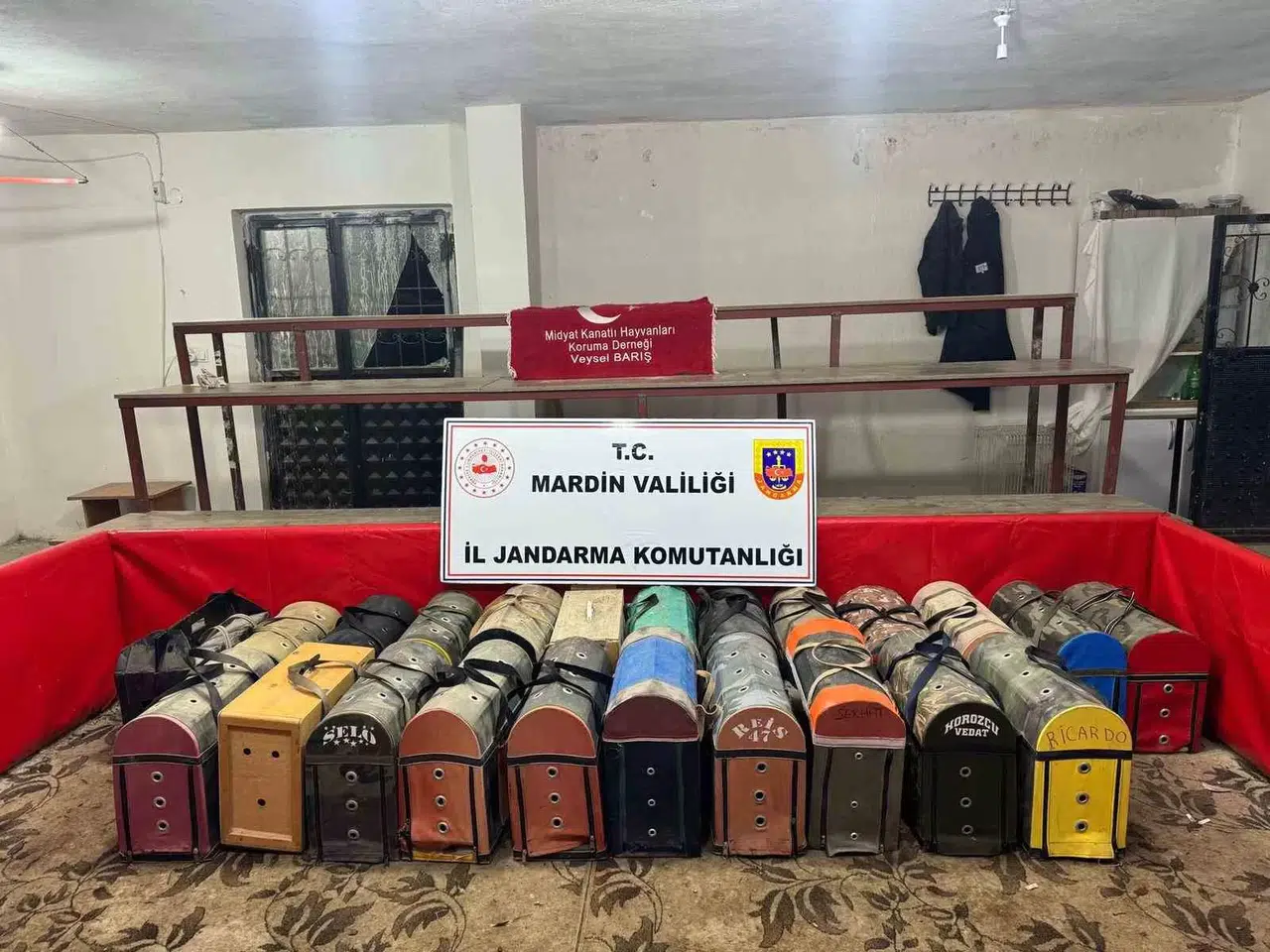 Mardin’de 54 Horozu Dövüştüren 83 Şahsa 578 Bin Lira Ceza