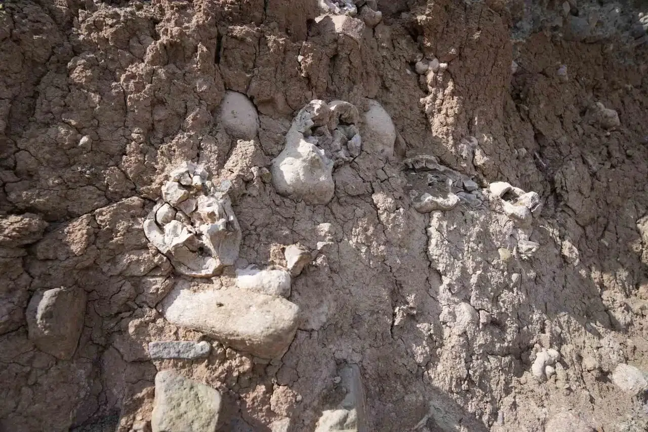 Niğde’deki Dinozor Fosili Sanılan Oluşumlar Traverten Taşı Çıktı