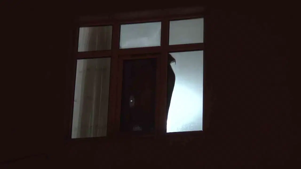 Pendik’te Kendini Meskene Kilitleyip Camdan Dışarı Eşyalar Attı, Özel Harekat Operasyonuyla Gözaltına Alındı