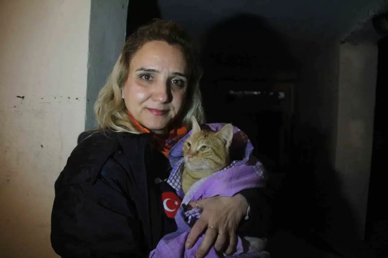 Sel Suyuyla Dolu Bodrum Katta Vefatı Göze Alıp Kedisini Kurtaran Bayan O Anları Anlattı