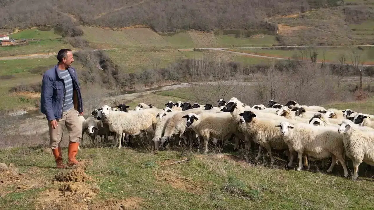 ’Sevgililer Günü’nün En Manalı İkramı Çobandan