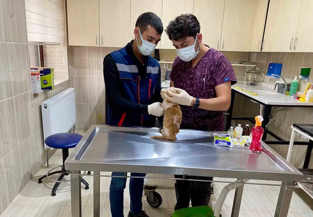 Sincan’da Sokak Hayvanları İnançta