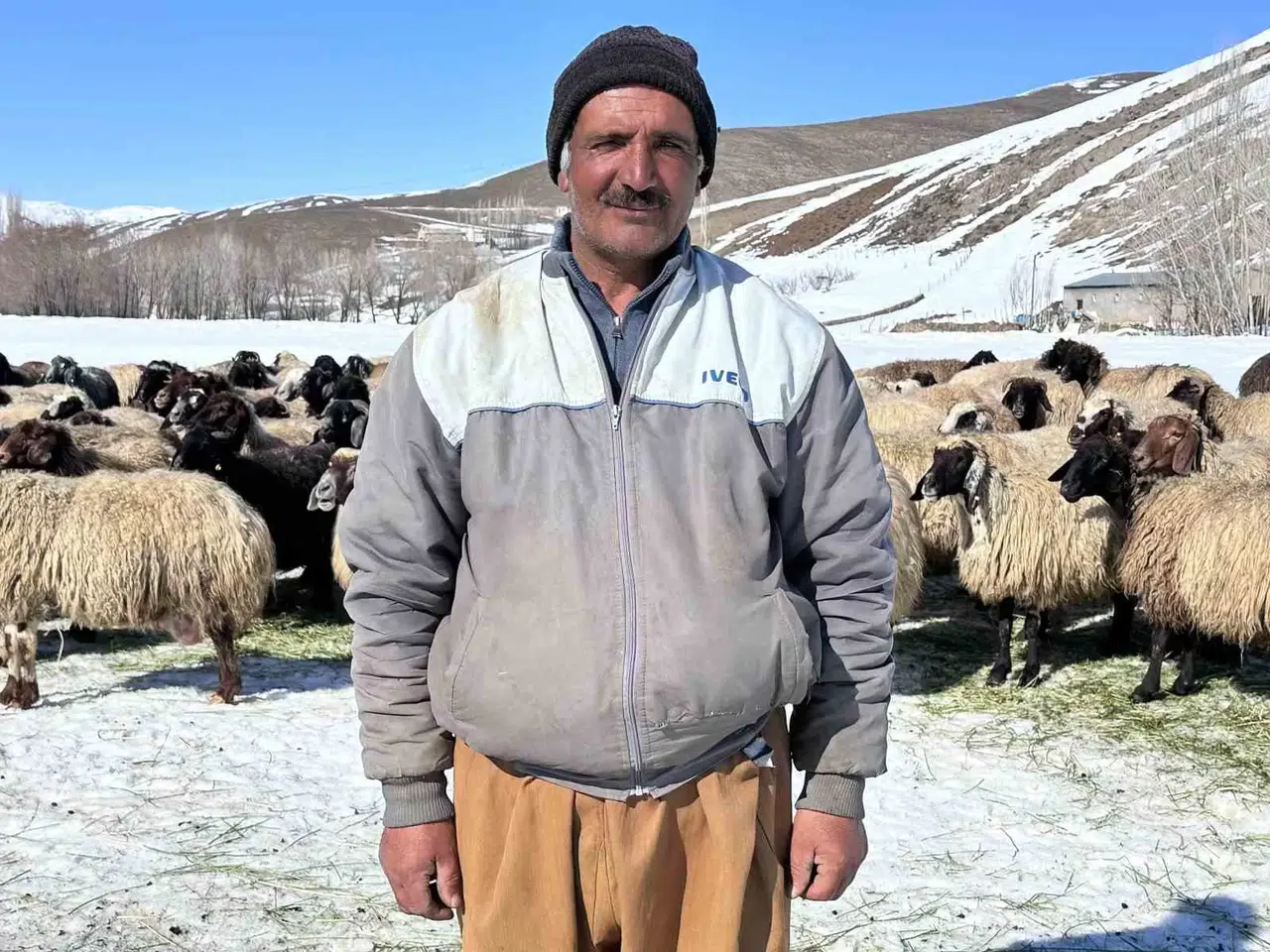 Yüksekova’da İthal Çoban Periyodu