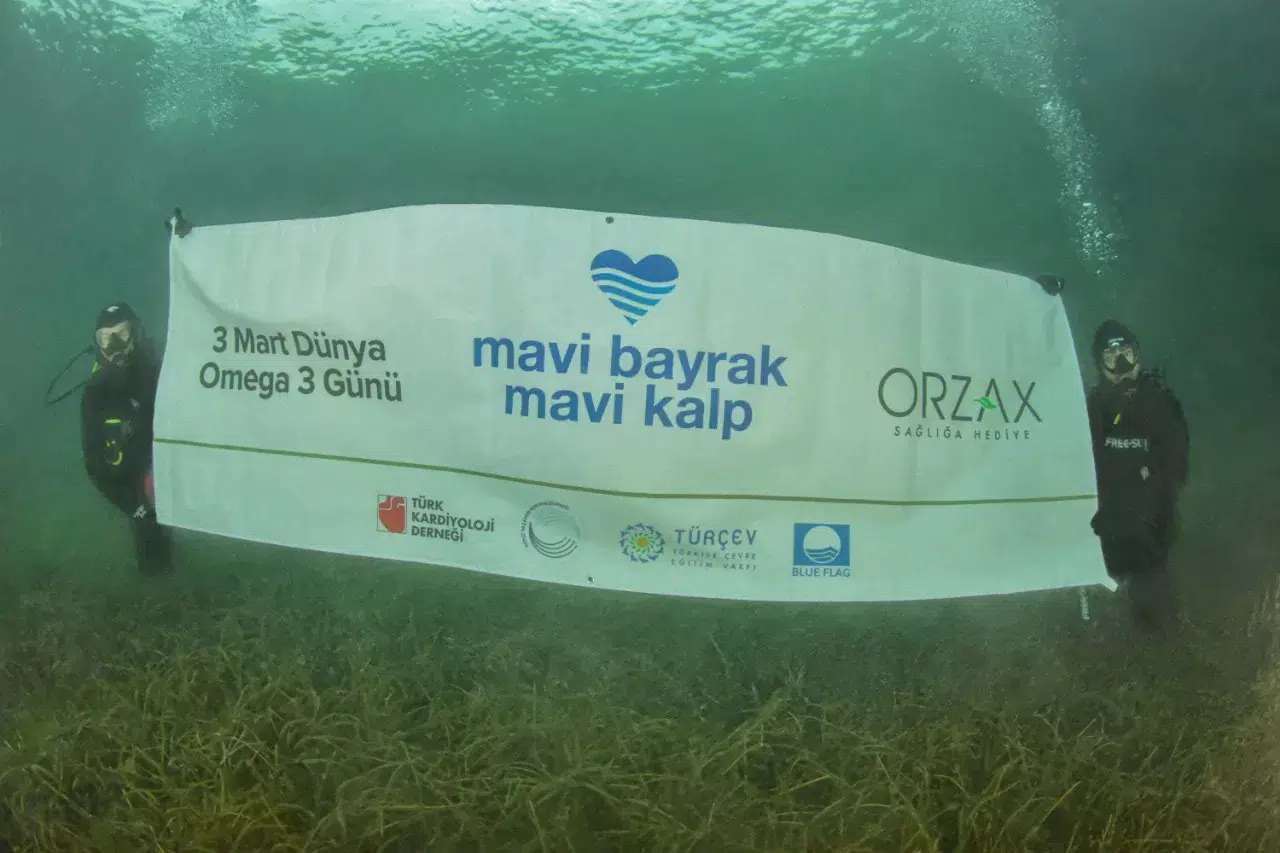 3 Mart Dünya Omega 3 Günü’nde Manalı Bildiri: “Denizlerimiz Kalp Damar Sıhhati İçin Kıymet Arz Ediyor”