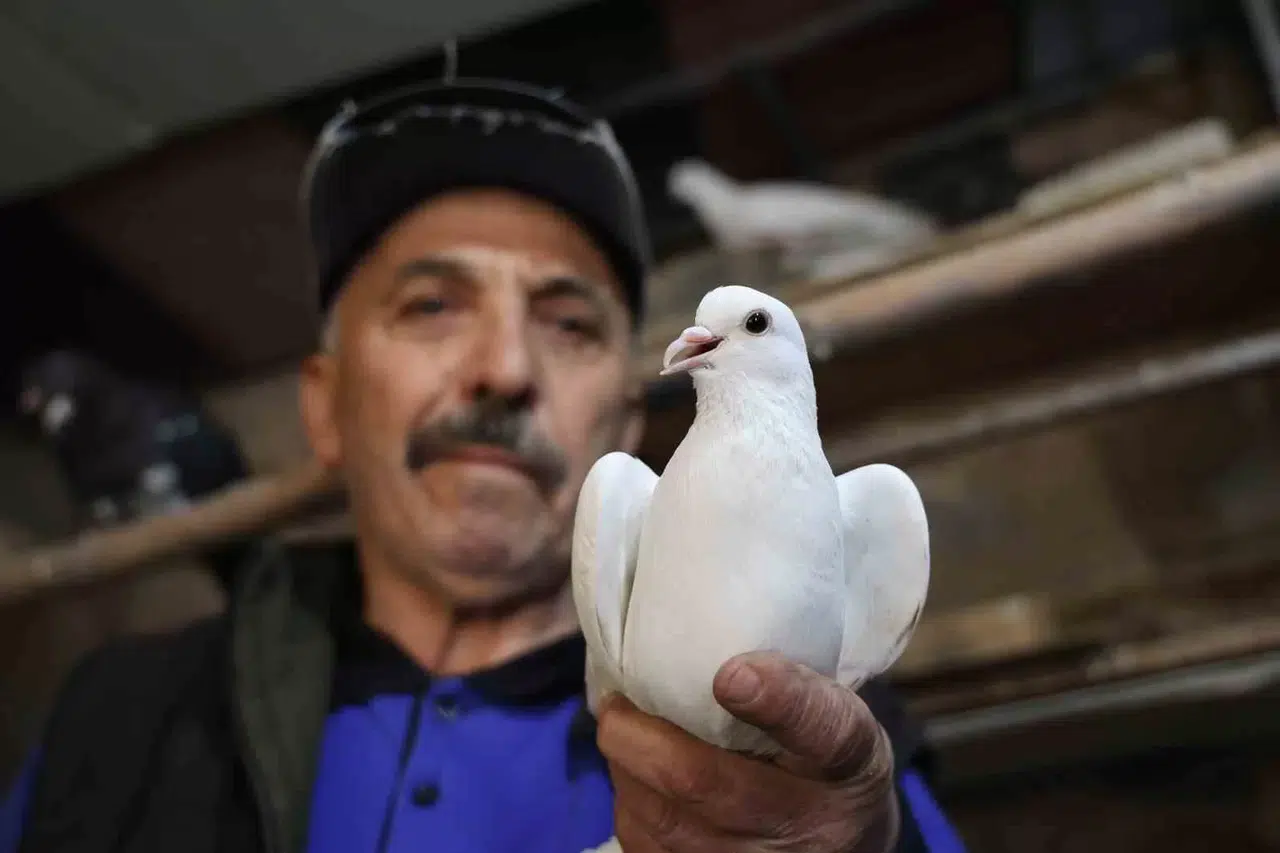 40 Yıldır Kumrularla Çocuk Üzere İlgileniyor