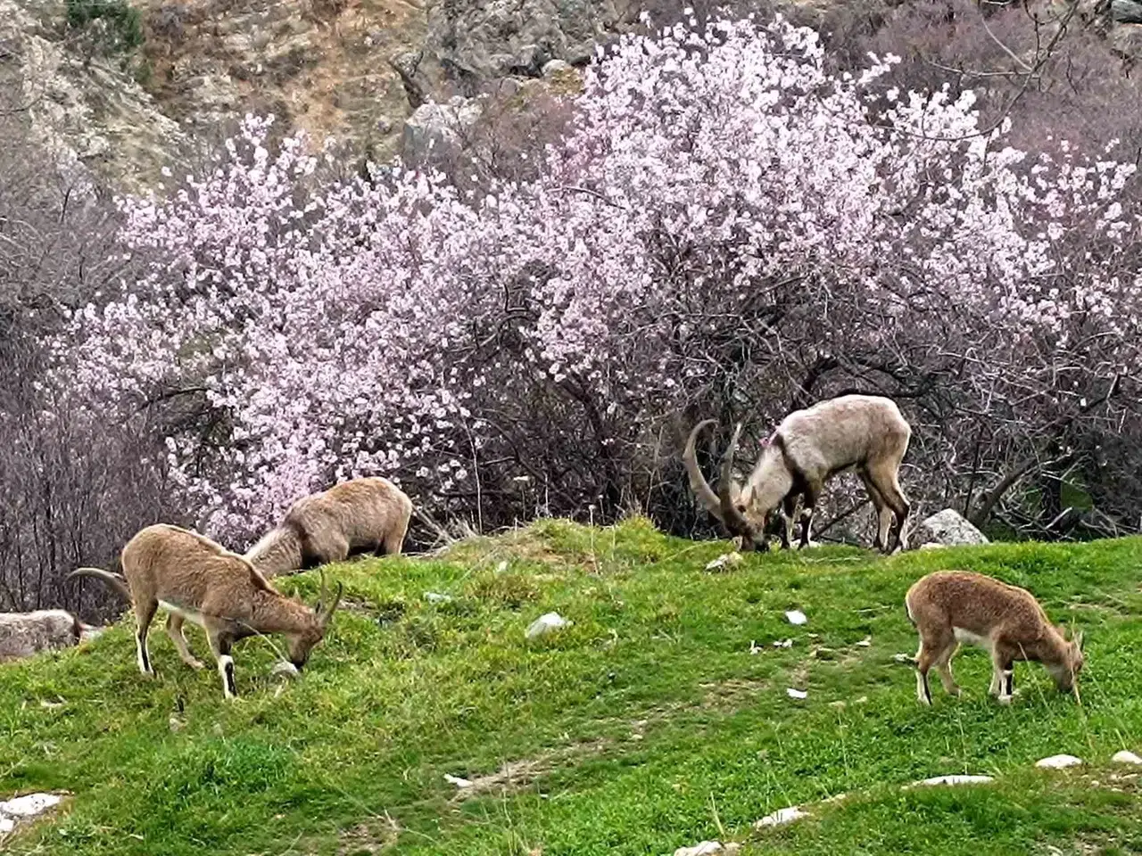 Birebir Vilayet İki Farklı Mevsim