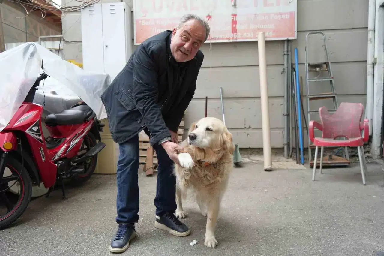 Köpeğin Doktora Havlaması Sahibine 700 Bin TL’ye Patladı