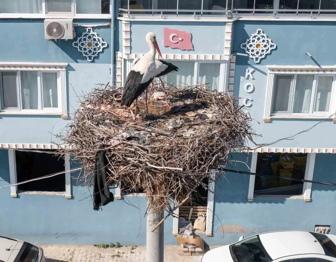 Yaren Leylek ile Balıkçı Adem’in Ortasına Nazlı Girdi